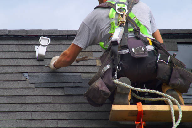 Best Roof Gutter Cleaning  in Muscoda, WI